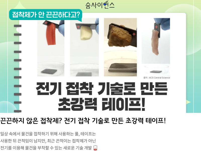 뉴스레터 타이틀