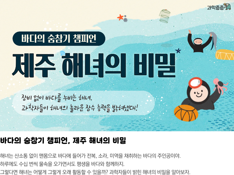 뉴스레터 타이틀