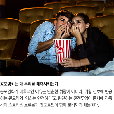 사이언스타임즈