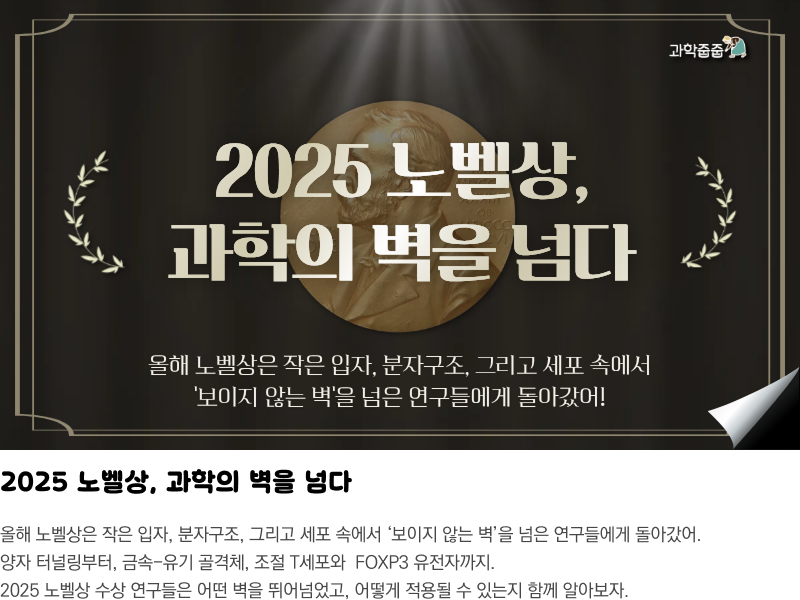 뉴스레터 타이틀