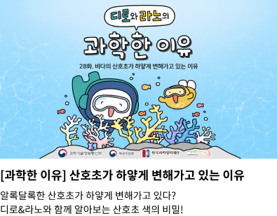 과학한 이유 28 화
