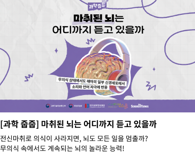 과학줍줍 _ 마취된 뇌