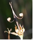 lee_img19