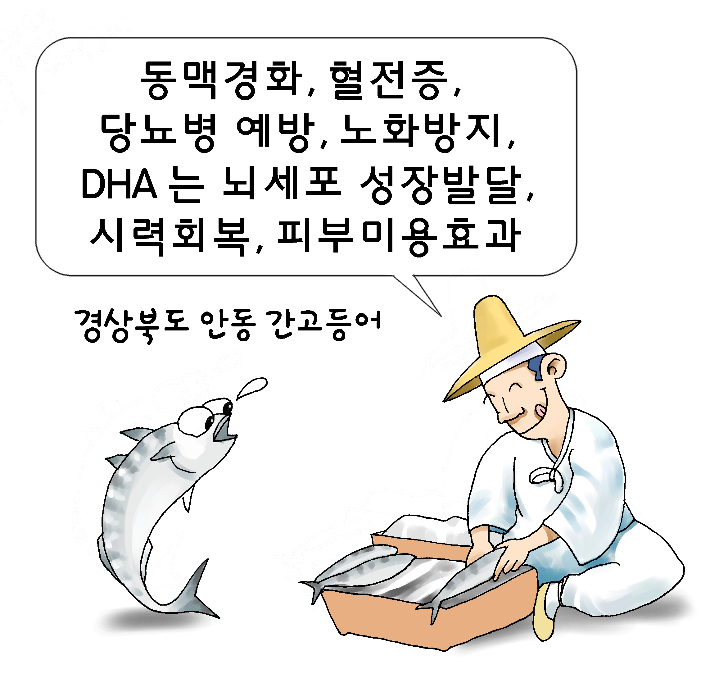 11.고등어