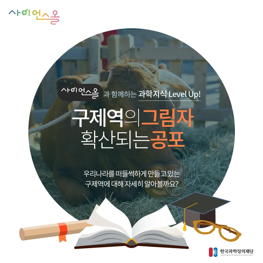 [카드뉴스] 구제역의 그림자 확산되는 공포
