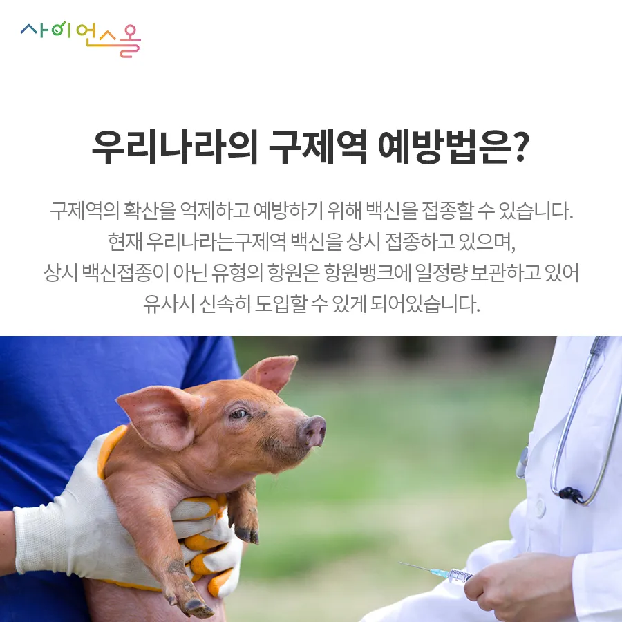 [카드뉴스] 구제역의 그림자 확산되는 공포