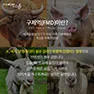 [카드뉴스] 구제역의 그림자 확산되는 공포