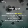 [카드뉴스] 구제역의 그림자 확산되는 공포