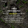 [카드뉴스] 구제역의 그림자 확산되는 공포