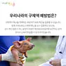 [카드뉴스] 구제역의 그림자 확산되는 공포