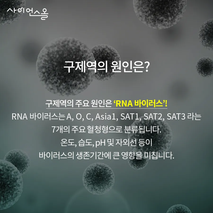 [카드뉴스] 구제역의 그림자 확산되는 공포