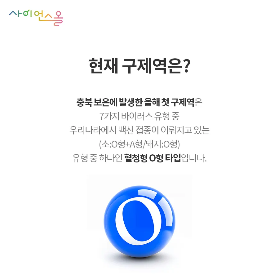 [카드뉴스] 구제역의 그림자 확산되는 공포