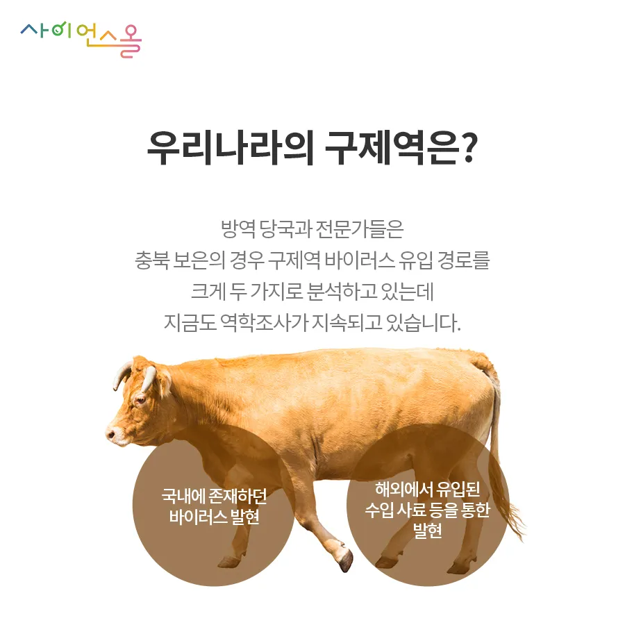 [카드뉴스] 구제역의 그림자 확산되는 공포