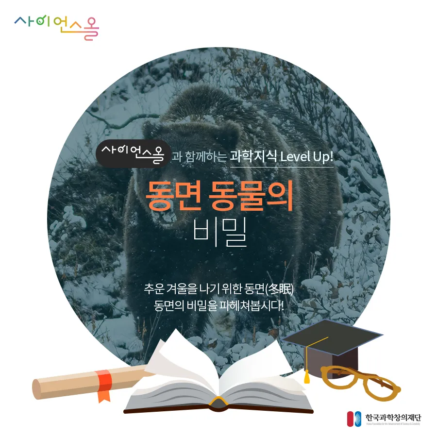 [카드뉴스] 동면 동물의 비밀