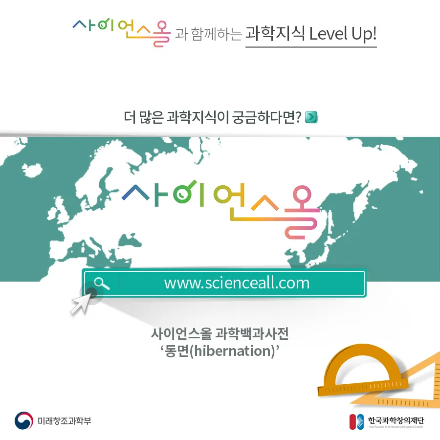 [카드뉴스] 동면 동물의 비밀