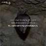 [카드뉴스] 동면 동물의 비밀