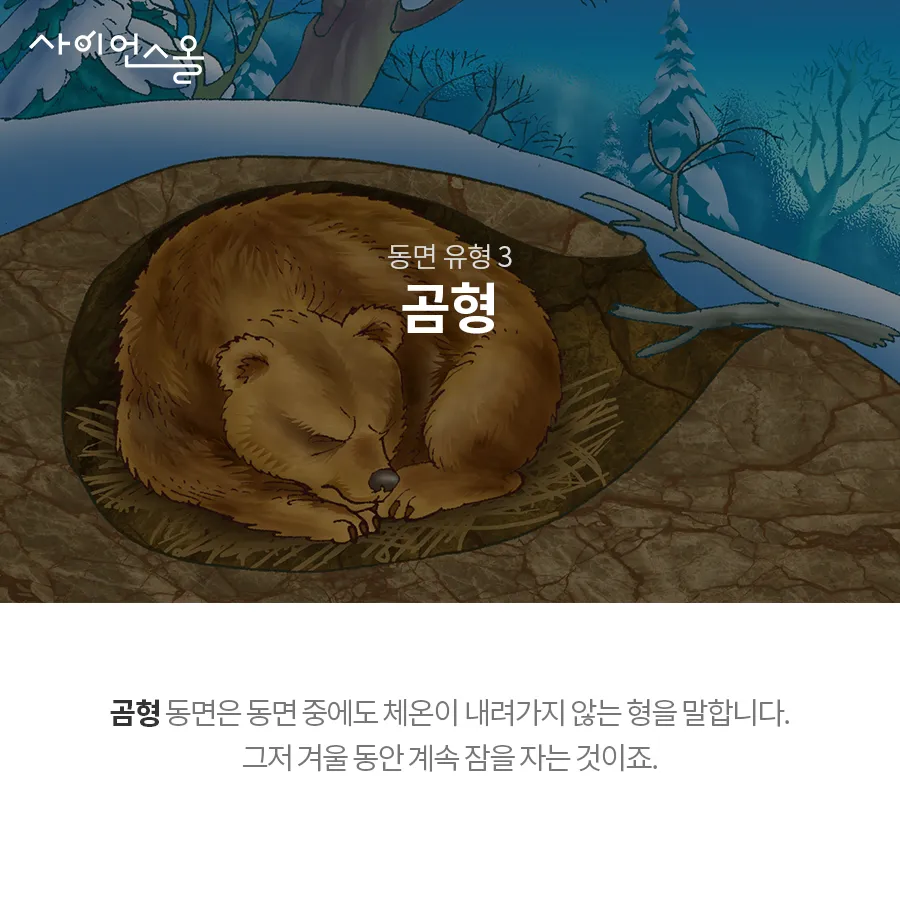 [카드뉴스] 동면 동물의 비밀
