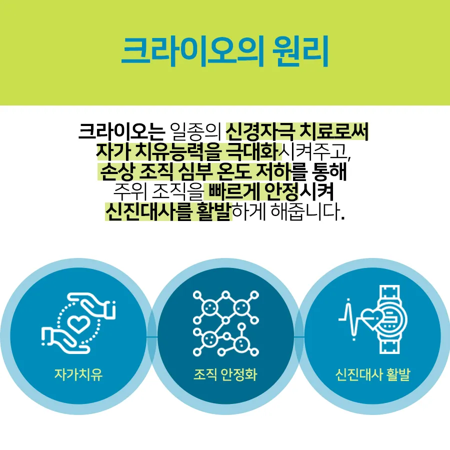 [카드뉴스] 국가대표를 위한 특별관리시스템 크라이오