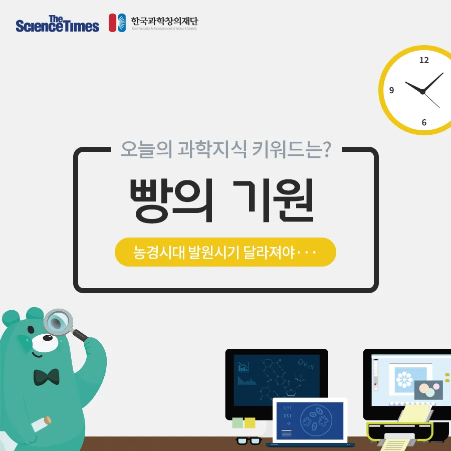 [카드뉴스] 농경시대 발현시기 달라져야...빵의 기원