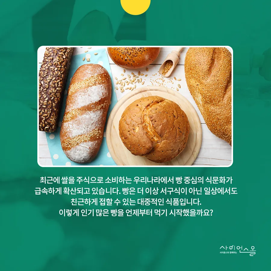 [카드뉴스] 농경시대 발현시기 달라져야...빵의 기원
