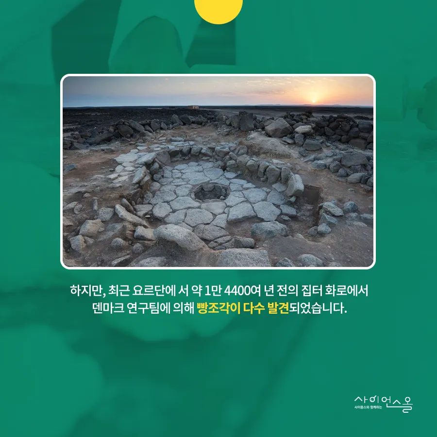 [카드뉴스] 농경시대 발현시기 달라져야...빵의 기원