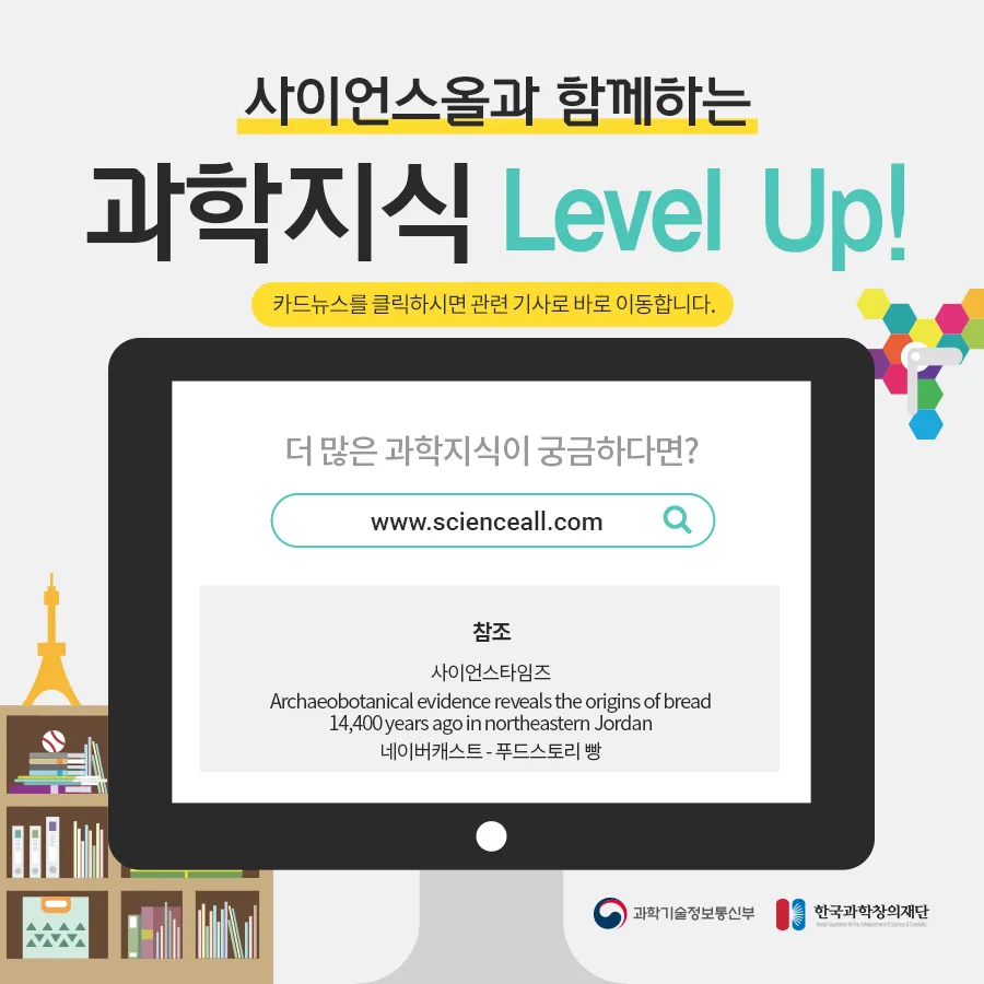 [카드뉴스] 농경시대 발현시기 달라져야...빵의 기원