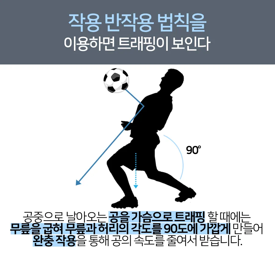 [카드뉴스] 역학적 원리로 바라본 트래핑 속 과학