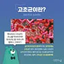 [카드뉴스] 고초균