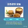 [카드뉴스] 고초균
