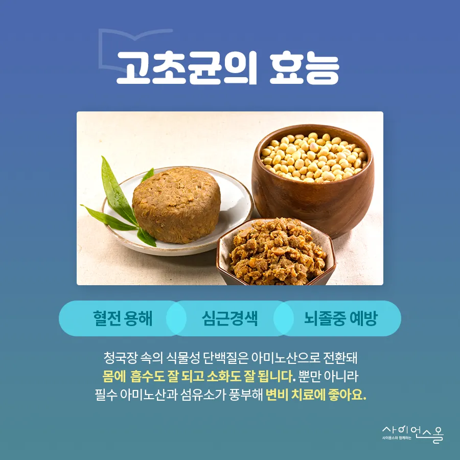 [카드뉴스] 고초균