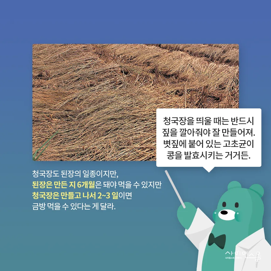 [카드뉴스] 고초균