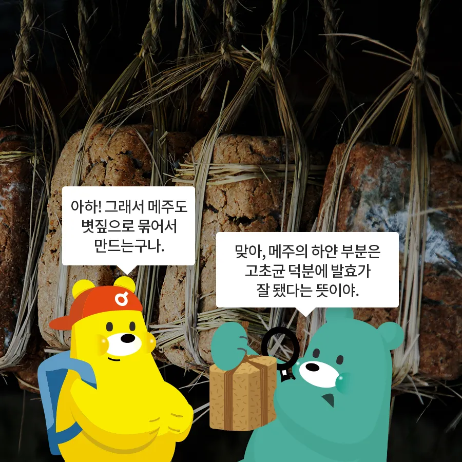 [카드뉴스] 고초균