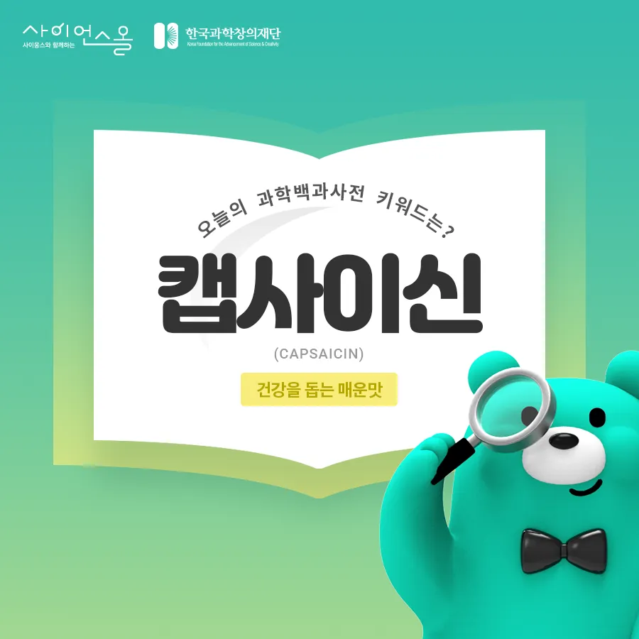 [카드뉴스] 캡사이신
