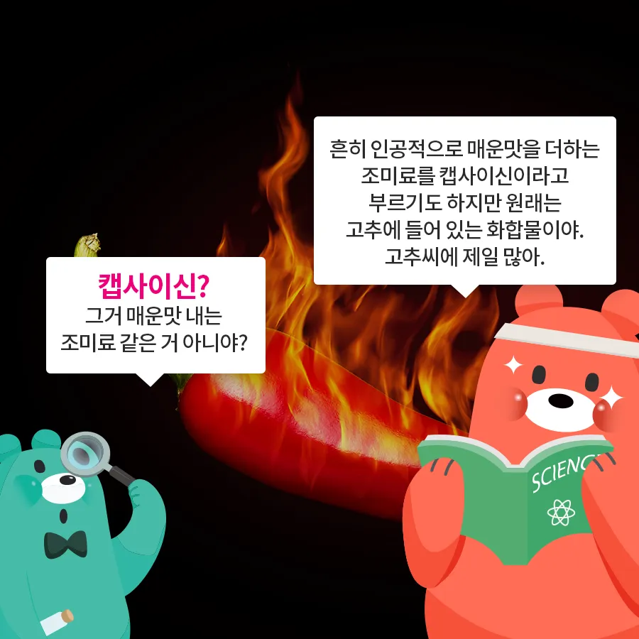 [카드뉴스] 캡사이신