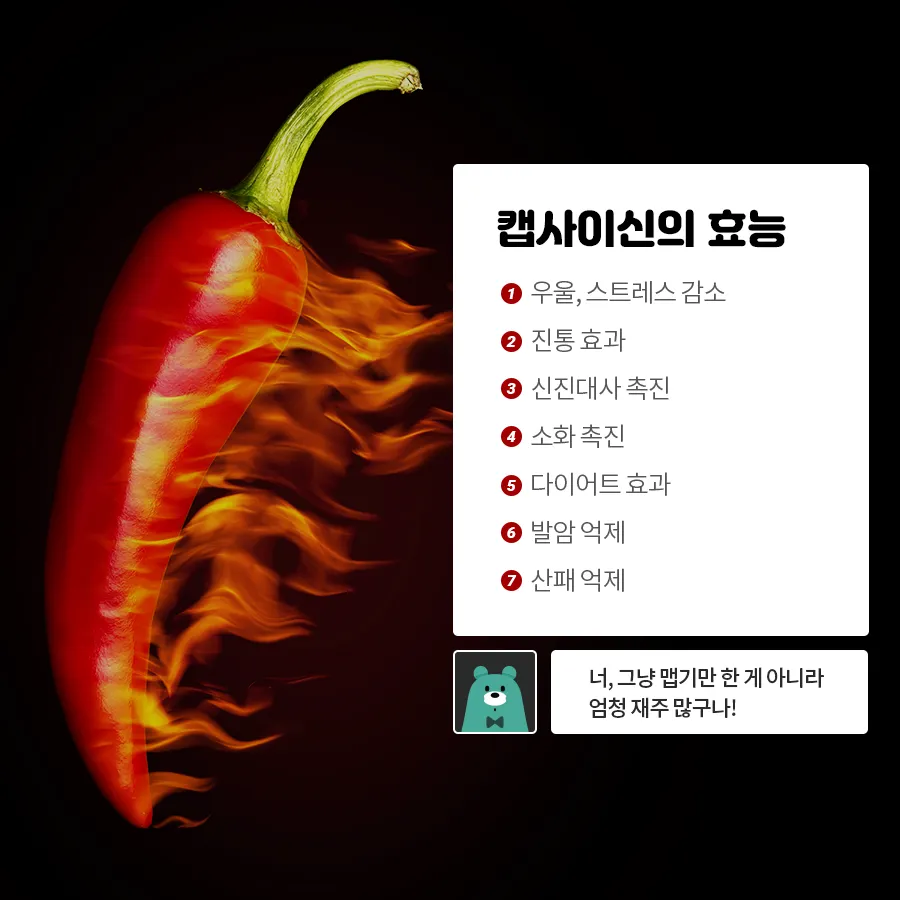 [카드뉴스] 캡사이신