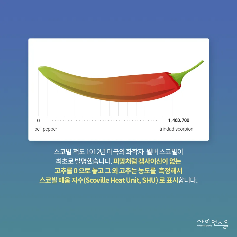 [카드뉴스] 캡사이신