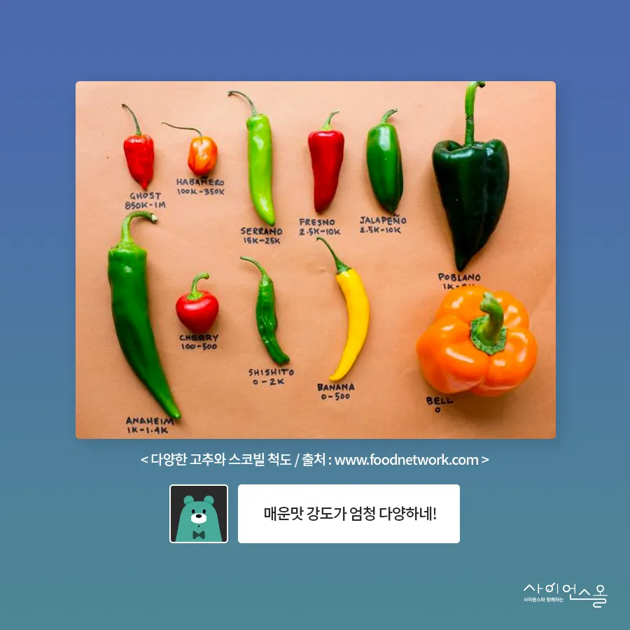 [카드뉴스] 캡사이신