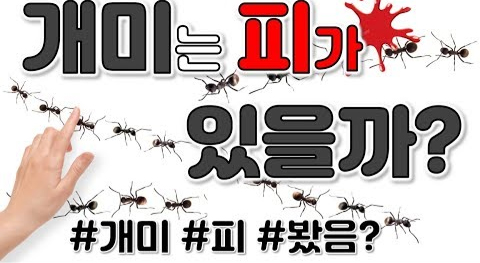 코코보라