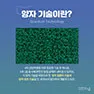[카드뉴스] 양자기술
