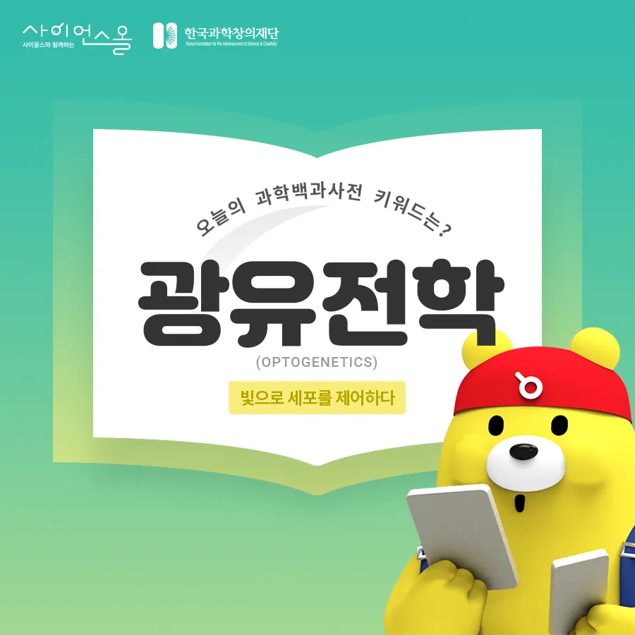 [카드뉴스] 광유전학, 빛으로 세포를 제어하다