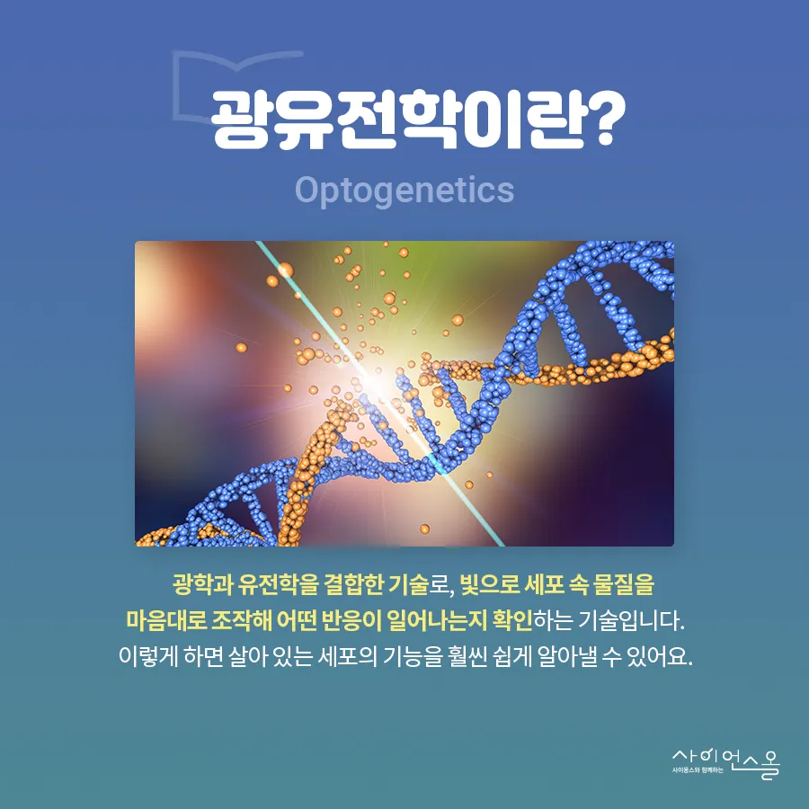 [카드뉴스] 광유전학, 빛으로 세포를 제어하다