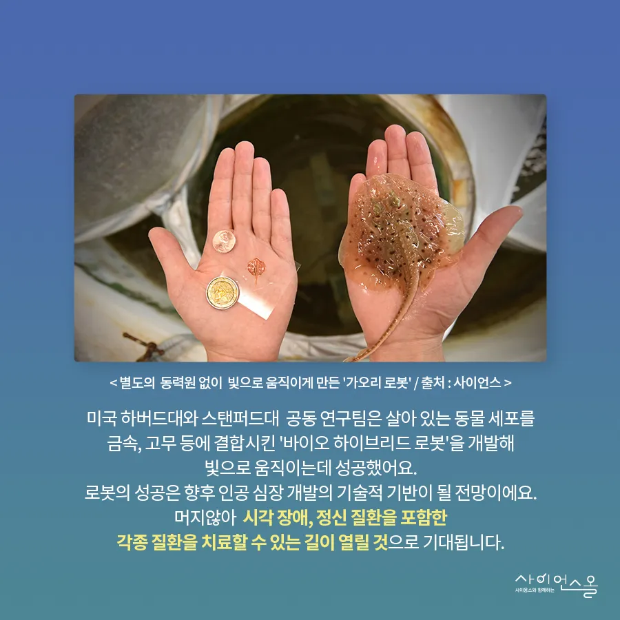 [카드뉴스] 광유전학, 빛으로 세포를 제어하다