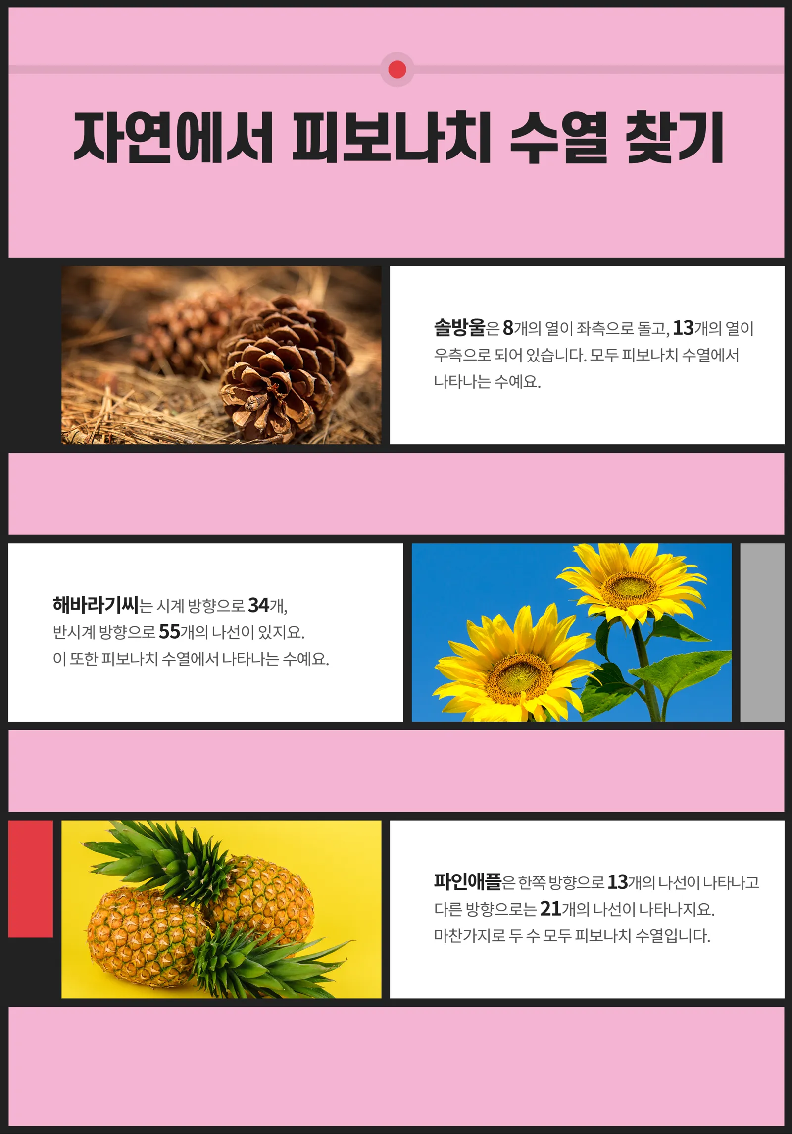 피보나치 수열 Fibonacci Sequence