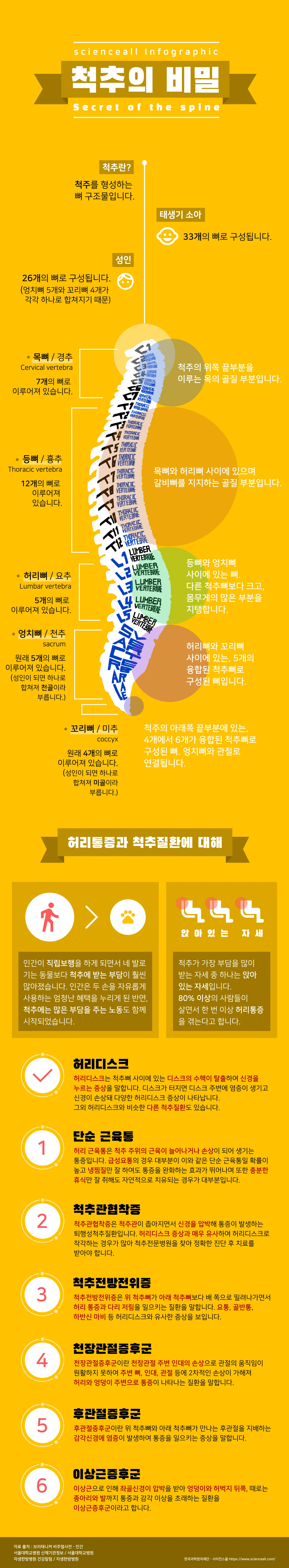 [시즌2] [인포그래픽] 척추의 비밀