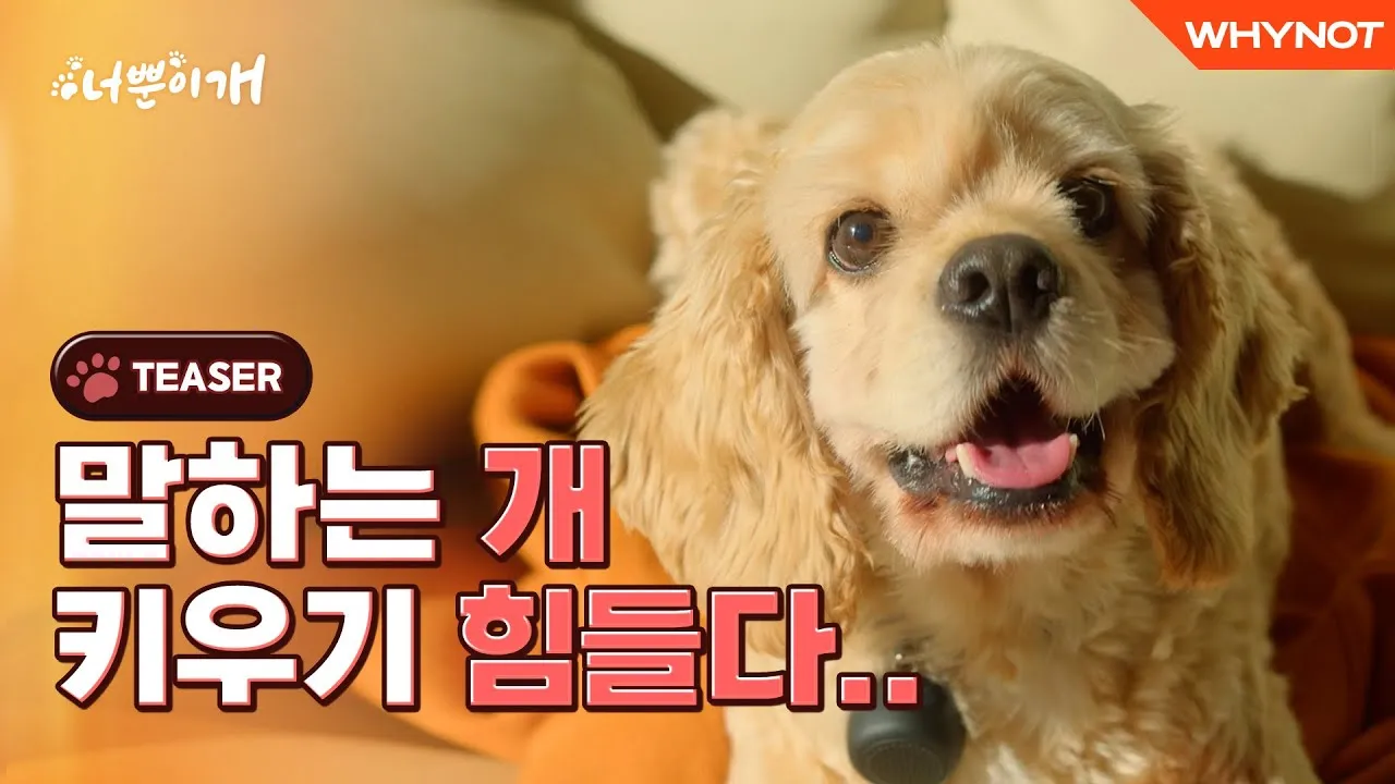 [2023 봄날의 과학산책] 사이언스 웹툰 · 웹드라마