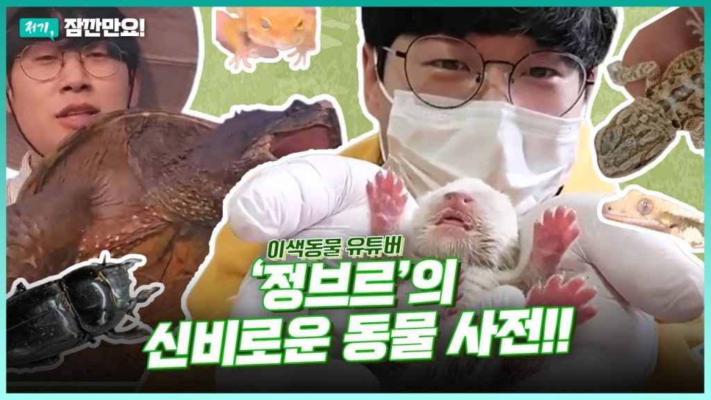 자연과 교감하는 이색 동물 유튜버, '정브르'