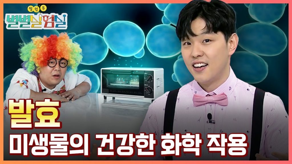 [별별실험실] 정디슨의 발효 호떡 만들기