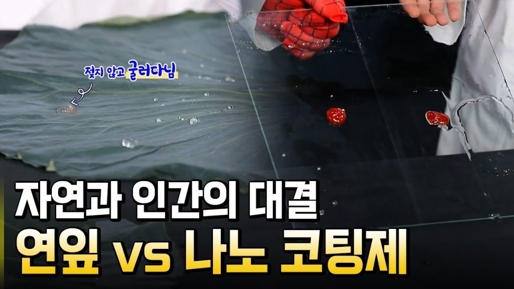 생체모방기술을 활용한 자연모방과의 대결! / 별별실험실