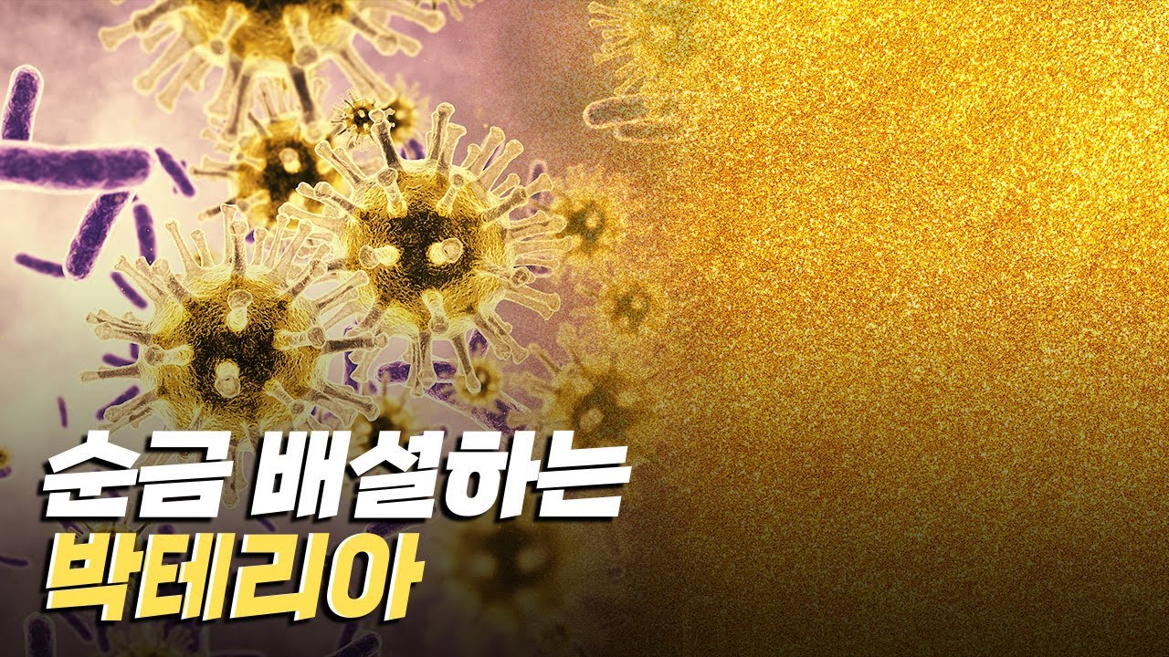 [핫클립] 순금을 배설하는 박테리아가 있다?