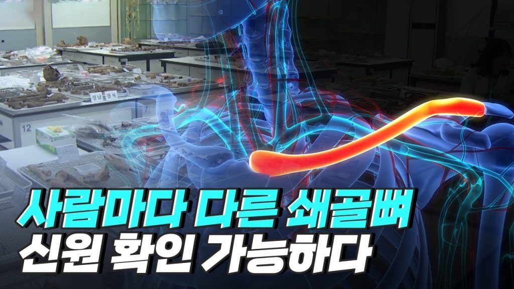 [핫클립] DNA 검사 없이 뼈만으로 신원을 확인하다